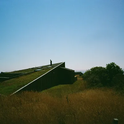 Sea Ranch — photo 29