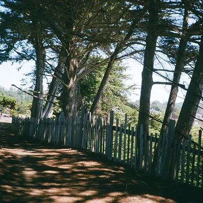 Sea Ranch — photo 38