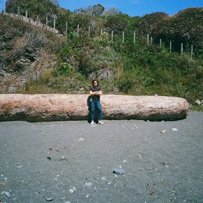 Sea Ranch — photo 40