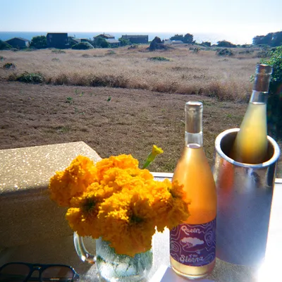 Sea Ranch — photo 49