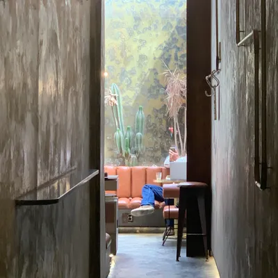 CDMX — photo 3