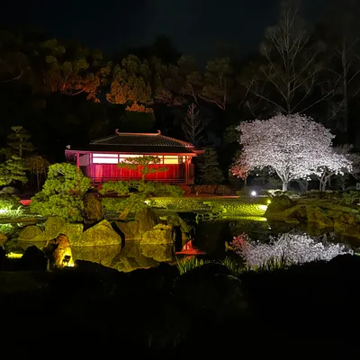 Japan — photo 2