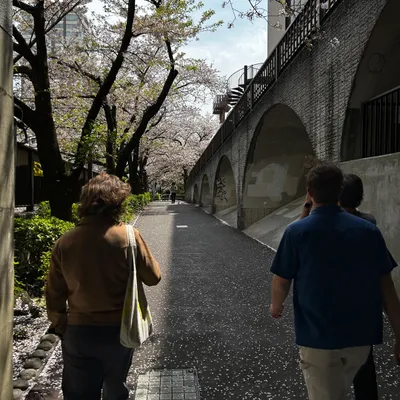 Japan — photo 6