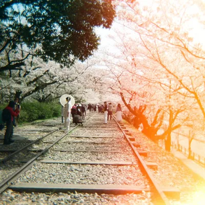 Japan — photo 11