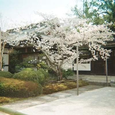Japan — photo 12