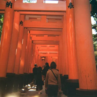 Japan — photo 13