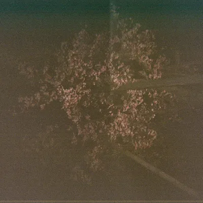 Japan — photo 15
